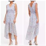 Banana Republic NWOT  Floral Sleeveless V-Neck Maxi Dress. Size 4 Photo 1
