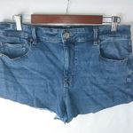 American Eagle Super Stretch 16 35 Short Jeans Shorts Plus Photo 0