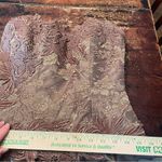 Yoly Muñoz Appliqué Lace Corset Bustle Strapless Ball Gown Size 10 Tan Photo 9