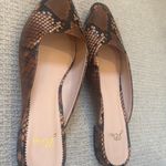 J.Crew Shoes  Photo 1