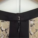 Max and Cleo  Lace Mini Dress Sleeveless Tan Black Contrast Lined Zip Up Zipper 8 Photo 5