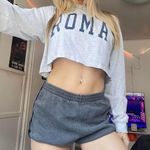 Brandy Melville roma long sleeve crop top Photo 3