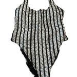 Aerie  size large women’s bathing suit EUC Photo 0