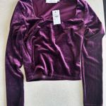 ASTR Velvet long sleeve crop Photo 0