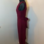 13. Blaine Burgundy Jumpsuit with Plunging V Photo 3