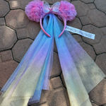 Disneyland Ears  Photo 0