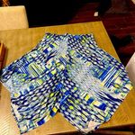 Chico's Chico’s Super cute maxi skirt Photo 0