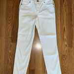 Tommy Bahama Adorable New Ella Sparkle Stripe Twill Jeans! Photo 0