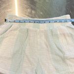 Ron Jon Surf Shorts Photo 4