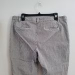 Ann Taylor  Striped Seersucker Ankle Pants Size 14 Photo 3