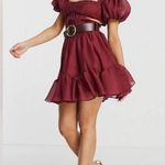 ASOS NWT DESIGN Petite voile mini dress with pleated bodice w/out belt Size 10 Photo 0