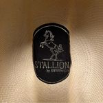 Stetson Stallion by  straw cowboy hat, tan, hard shell Photo 3
