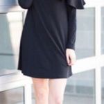 Black Polka Dot Mesh Neck Ruffle Trim A Line Dress Black Size M Photo 0