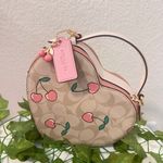 Coach Heart Crossbody In Signature Canvas With Heart Cherry Print CE653 Photo 2