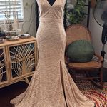 Windsor Beige Lace Bodycon Trumpet Hem Maxi Gown Dress Photo 0