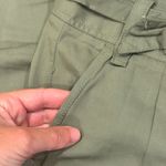 Max Studio NWT  Green Wide Leg Pants With Belt Size 6 Photo 3