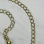 Chico's Vintage Chunky Animal Print Gold Tone Chain Link Belt OS β¨ Photo 10