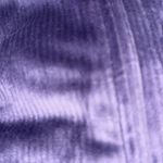 Victoria's Secret VICTORIA'S SECRET
Velour Bomber Jacket Photo 3