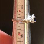 Crown Nine Lab Photo 3