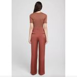ANINE BING Carrie Pant in Silk Terracotta Photo 1