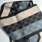 Thin Purse Scarf / Hairband / Scarf Photo 1