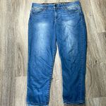 Democracy Artisan Crafted Jeans Size 14 Photo 0