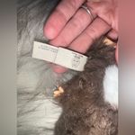 Authentic Baby Three Cutie Plush Blind Box Series Brown Photo 2