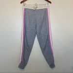 Splendid  Bayside Active Racer Stripe Jogger Small Photo 4