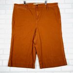 Madewell Emmett Wide-Leg Crop Pants Burnt Sienna, Size 37 Style J8985 Photo 5