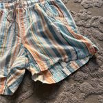 Briggs New York  |  Blue and Orange Striped Shorts Estilo style Photo 3