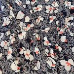 Lila Rose Lily rose Xs blouse Photo 2