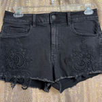 American Eagle  Outfitters Black Embroidered Lace Hi Rise Shortie Shorts 12 Photo 0