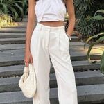 ZARA nwt wide straight leg high waisted men’s style pleated pants Photo 0