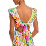 AQUA Fruit Floral Maxi Dress - Exclusive Size Large Sundress Photo 1