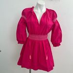 ZARA NWOT Pink Tassel Puff Sleeve Embroidered Peasant Mini Dress Large Photo 4