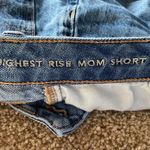 American Eagle Outfitters Mom Shorts Photo 2