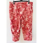 LOGO By Lori Goldstein  Reg Knit Pull-On Pants Sage Green‎ Size Sm Wide Leg Photo 1