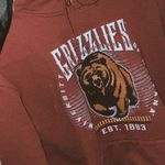 Jerzees Montana Grizzly Hoodie  Photo 0