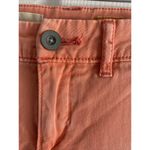 Anthropologie Pilcro Women's  26 Hyphen Coral Boho Chino‎ Pants Photo 3