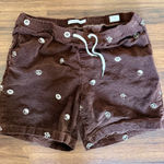 PacSun Pacing Volley Shorts Photo 0