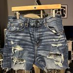 American Eagle Outfitters Vintage Shorts Photo 0