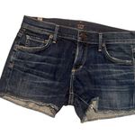Citizens of Humanity  Denim Shorts with Vintage Distressing sz 24 Photo 0