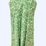 Boden USA Boden Green White Roses Derby Dress Sleeveless 10 Fit Flare Photo 2