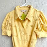 Rachel Parcell  floral eyelet yellow shirt dress large Photo 4