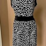 Talbots Animal Print Dress PETITE Photo 0