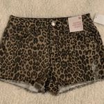 SO Juniors Shorts Photo 0