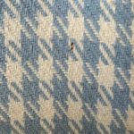 ZARA NWT double breasted blazer Photo 3