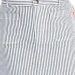 Madewell Stretch A-Line Mini Skirt in Navy Stripe Photo 0