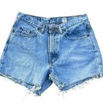 Kirkland Signature Vintage 1990’s Kirkland denim shorts Photo 0
