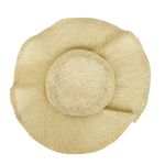 American Eagle Straw Floppy Beach Hat Photo 3